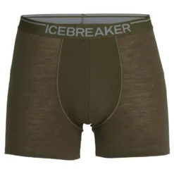 Icebreaker Anatomica Merino Trunk